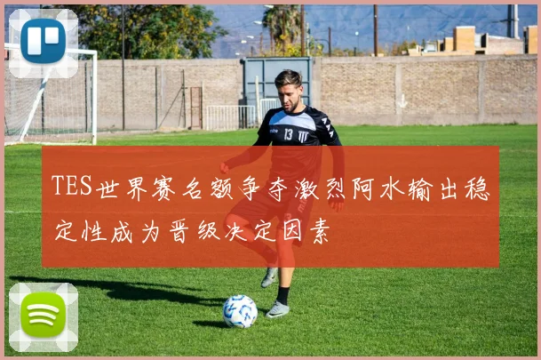 TES世界赛名额争夺激烈阿水输出稳定性成为晋级决定因素